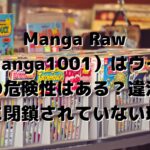 Manga Raw（manga1001）はウイルスの危険性はある？違法なのに閉鎖されていない理由