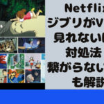 Netflix ジブリがVPNで見れない時の対処法？繋がらない理由も解説