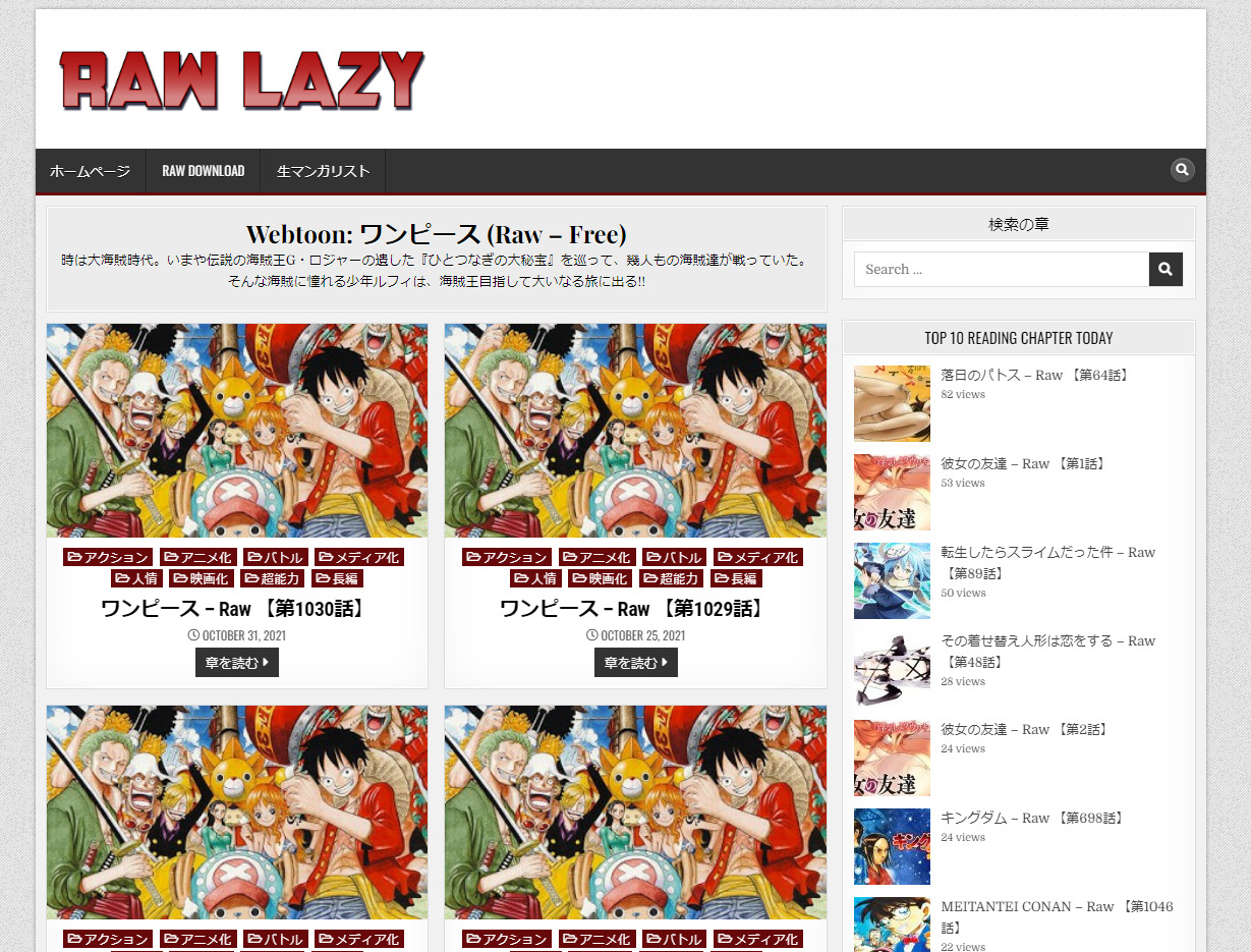 Rawlazyの使い方は?閉鎖で見ることができない理由も解説 4 Rawlazyの使い方は?閉鎖で見ることができない理由も解説